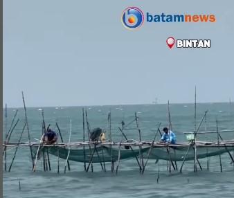Nelayan Bintan Panen Ikan Dingkis, Raup Keuntungan Besar Menjelang Imlek