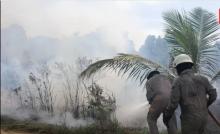 Kebakaran Hutan dan Lahan Kembali Marak di Tanjung Uban, Tiga Kasus Terjadi dalam Dua Hari