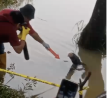 Breaking News! Penemuan Jasad Pria di Danau Gegerkan Warga Nongsa, Ada Luka di Dada