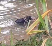 Breaking News! Penemuan Jasad Pria di Danau Gegerkan Warga Nongsa