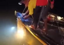 Buaya Pulau Bulan Masuk Kampung, Incar Kucing hingga Ditangkap Warga