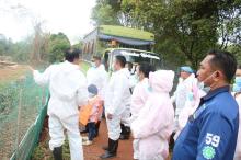 Tiga Buaya Masih Lepas di Alam Bebas saat Kapolresta Barelang Tinjau Lokasi Penangkaran Pulau Bulan 