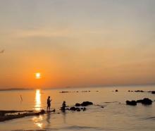 Disbudpar Batam Imbau Warga Tunda Wisata Pantai, Kemunculan Buaya Jadi Ancaman