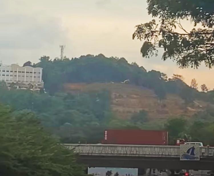Penggundulan Hutan Bukit Vista Sei Ladi Diduga Ilegal, Ancaman Banjir Mengintai Batam
