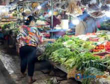 Harga Sayuran di Batam Meroket Jelang Ramadhan, Kangkung Tembus Rp40 Ribu per Kg