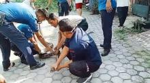 Muncul dari Selokan, Ular Piton Serang Kucing Warga di Karimun