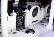 Waspada! Bukan Cuma Motor, Anjing Peliharaan pun Jadi Sasaran Maling di Batam