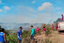 Damkar Lingga Berjibaku Padamkan Karhutla di Bukit Langkap