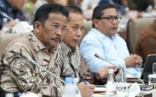 BP Batam Hadiri RDP bersama Komisi VI DPR RI