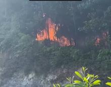 Hutan Lindung Sungai Harapan Batam Terbakar, Diduga Akibat Pembakaran Sampah