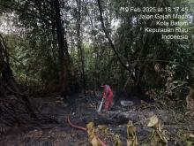 Lahan Seluas 3 Hektar di Southlink, Batam, Ludes Terbakar, Tiga Unit Damkar Dikerahkan