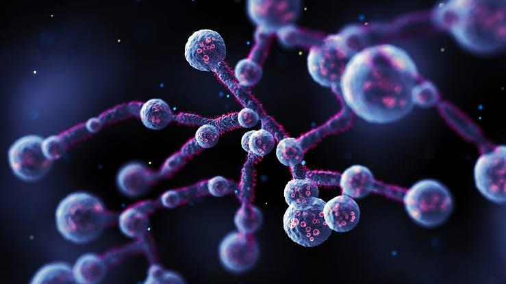 Humanin Peptide: A Mitochondrial-Derived Molecule with Potential Research Implications