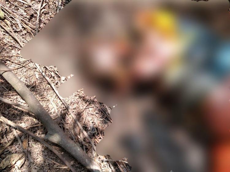 Mayat Pria Tak Dikenal Ditemukan Membusuk di Jurang Hutan Twiangkang, Batam