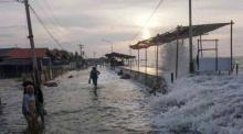 BMKG Peringatkan Banjir Rob di Kepri, DPRD Minta Pemerintah Siapkan Langkah Antisipatif
