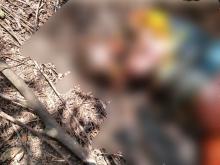 Mayat Pria Tak Dikenal Ditemukan Membusuk di Jurang Hutan Twiangkang, Batam