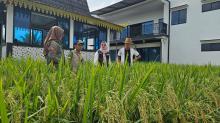 Bendahara PWI Kepri Buktikan Pers Dukung Ketahanan Pangan Nasional