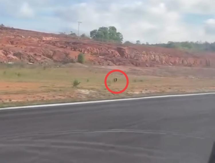Kesaksian Penumpang: Ban Pesawat Garuda GA-288 Copot Saat Landing, Sempat Gelinding Mendahului Pesawat