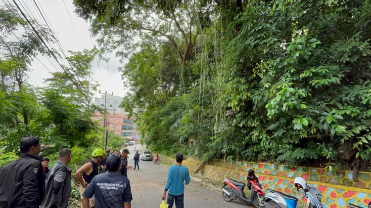 Pohon Tumbang di Karimun Tutup Jalan Tengku Umar, Cuaca Cerah Tak Ada Angin dan Ribut