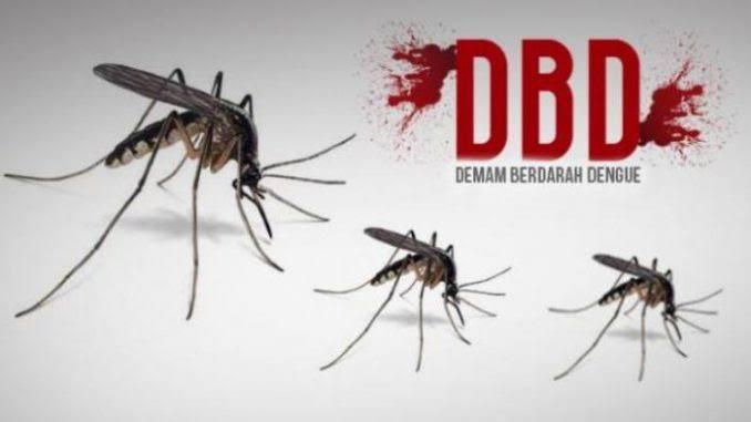 Waspada DBD! Dinkes Karimun Rilis Data Sebaran 115 Kasus di Awal 2025