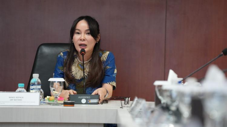 Pemerintah Pusat Pacu Investasi Kota Batam Lewat Penguatan Kawasan Strategis