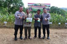 Panen Raya Jagung Manis di Batam: Bukti Sinergi Polri, Petani, dan Pemerintah Dukung Ketahanan Pangan
