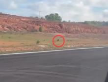 Kesaksian Penumpang: Ban Pesawat Garuda GA-288 Copot Saat Landing, Sempat Gelinding Mendahului Pesawat