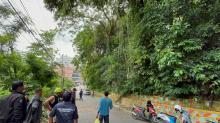 Pohon Tumbang di Karimun Tutup Jalan Tengku Umar, Cuaca Cerah Tak Ada Angin dan Ribut