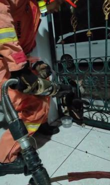 Aksi Heroik Damkar Sei Panas Selamatkan Anjing yang Kepalanya Tersangkut di Pagar Rumah 