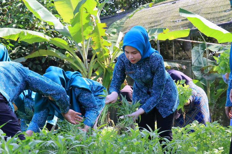 PKK Bintan Dorong Pengelolaan Sampah Rumah Tangga dan Bank Sampah untuk Wujudkan Lingkungan Bernilai Ekonomi