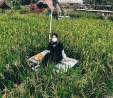 Kampung Sawah, Oase Pedesaan di Tengah Kota Batam yang Edukatif dan Ramah Keluarga