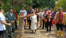 Li Claudia Tinjau Langsung Lokasi Banjir di Batam, Soroti Drainase Tersumbat dan Bangunan Liar