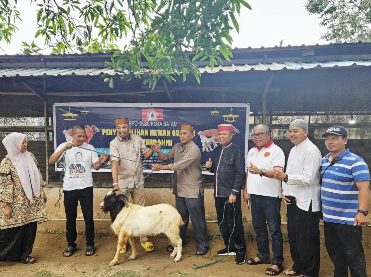 Gelar Penyembelihan Hewan Qurban di Batam, Ketua BPW KKSS Kepri Serahkan 1 Ekor Sapi