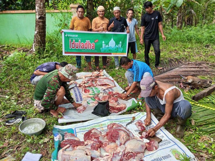BRK Syariah Ranai Salurkan 7 Ekor Sapi Kurban ke Pelosok Natuna, Perkuat Syiar Islam dan Kepedulian Sosial