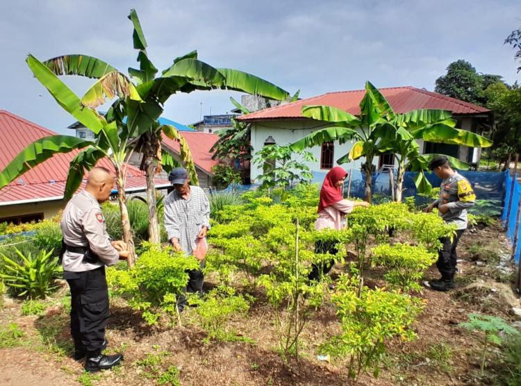 Dukung Ketahanan Pangan, Polsek Bulang Panen Cabai Bersama Warga Pulau Buluh