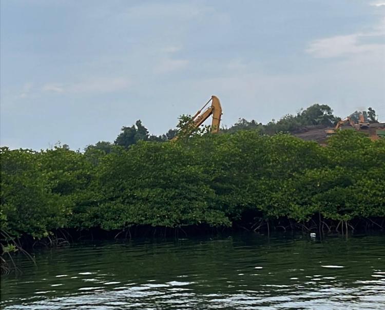 Reklamasi di Tanjung Sauh Batam Timbun 4 Hektare Mangrove, Nelayan Terdampak, Akar Bhumi Soroti Dugaan Pelanggaran