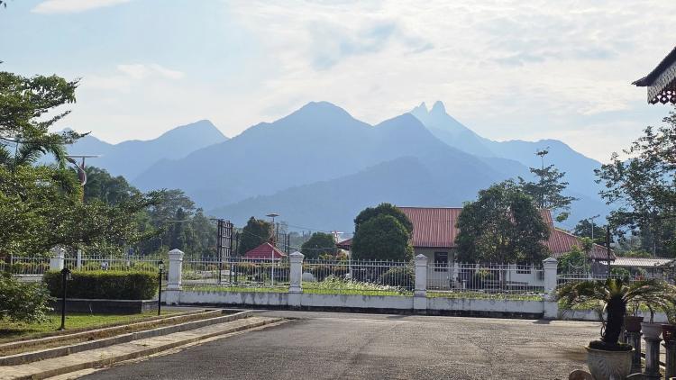 Kasus Dugaan Korupsi Pengadaan Bonsai di Lingga Dilimpahkan ke Kejari Lingga, Sengaja Dilalaikan?