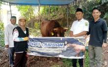 Desa Duara di Lingga Terima Sapi Qurban dari Presiden Prabowo, Warga Sambut dengan Syukur