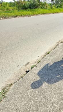Diduga Dijambret, Wanita di Batam Terjatuh dari Motor & Wajahnya Lecet