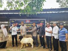 Gelar Penyembelihan Hewan Qurban di Batam, Ketua BPW KKSS Kepri Serahkan 1 Ekor Sapi