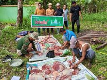 BRK Syariah Ranai Salurkan 7 Ekor Sapi Kurban ke Pelosok Natuna, Perkuat Syiar Islam dan Kepedulian Sosial