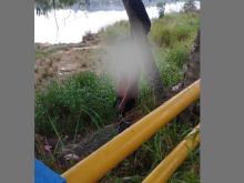 Identitas Pria yang Tergantung di Pohon di Bintan Timur Terungkap, Diduga Bunuh Diri Akibat Tekanan Ekonomi