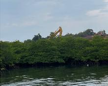 Reklamasi di Tanjung Sauh Batam Timbun 4 Hektare Mangrove, Nelayan Terdampak, Akar Bhumi Soroti Dugaan Pelanggaran