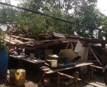 Rumah Warga di Pulau Lipan Lingga Roboh Tertimpa Pohon Mangga Lapuk, Satu Keluarga Diungsikan
