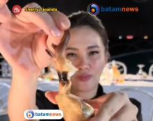 Gubernur Maluku Utara Ketagihan Makan Gonggong, Kuliner Khas Kepri di Tanjungpinang