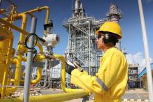PLN Batam Luncurkan Layanan Platinum, Solusi Premium untuk Industri di Batam