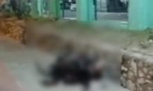 Terluka Parah dan Tak Ditolong, Pemotor Tewas di Simpang Greenland Batam Kota