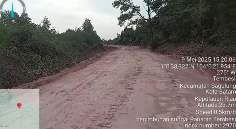 NGO Akar Bhumi Laporkan Dugaan Perusakan Hutan Lindung Panaran ke KLHK