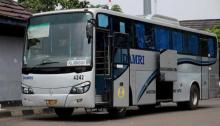 DAMRI Hadir Layani Rute Dabo – Jagoh, Mudahkan Mobilitas Warga Lingga, Simak Jadwalnya