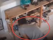 Aksi Pencurian Sepatu Terjadi di Dua Lokasi Berbeda di Batam, Pelaku Terekam CCTV