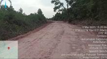 NGO Akar Bhumi Laporkan Dugaan Perusakan Hutan Lindung Panaran ke KLHK